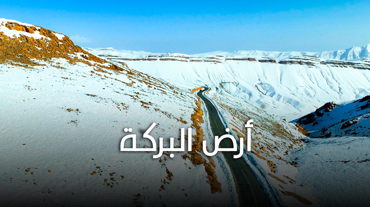 صورة بلاط المحتوى