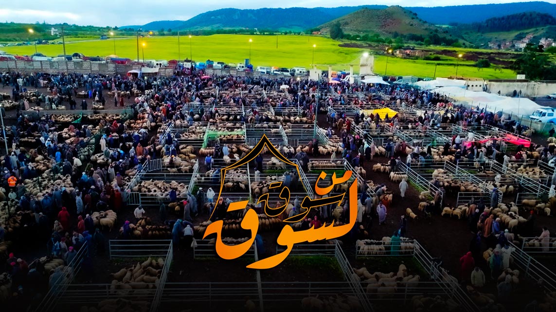 صورة بلاط المحتوى