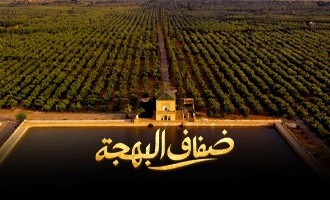 صورة بلاط المحتوى