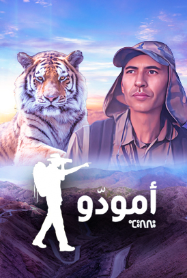 صورة المحتوى الرئيسي العمودي